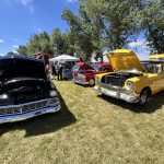 Various classic cars with hoods open to display engine